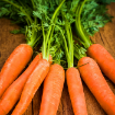 تصویر  Carrots